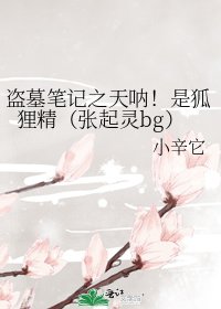 盗墓笔记之天呐!是狐狸精(张起灵bg)