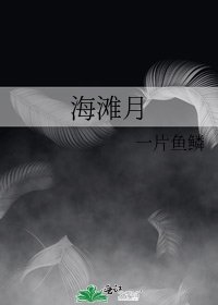 海灘月