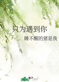 《只為遇到你》