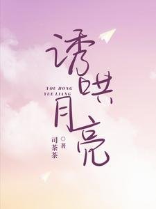 《诱哄月亮》