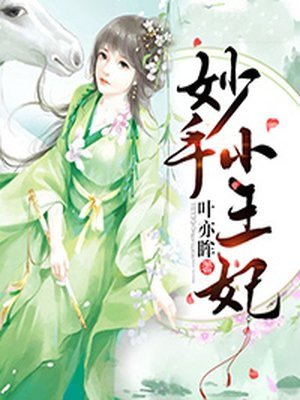 《妙手小王妃》