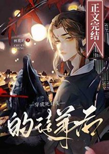 《重生后我攻了死对头》