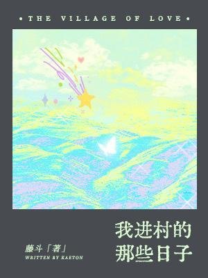 《我進村的那些日子》