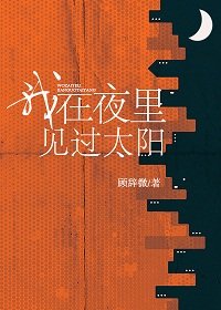 《我在夜裡見過太陽》