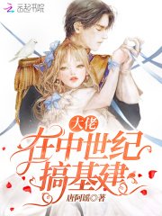 《大佬在中世纪搞基建》