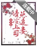 分手后,清冷上司总追妻