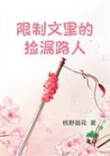 《限制文里的捡漏路人》