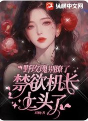 野玫瑰別撩了，禁慾機長上頭了