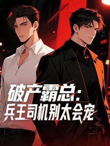 破产霸总:兵王司机别太会宠