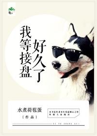 二婚嫁給霸道老總/我等接盤好久了