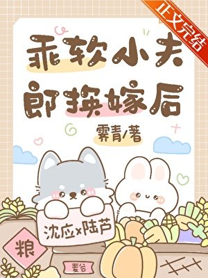 乖軟小夫郎換嫁後
