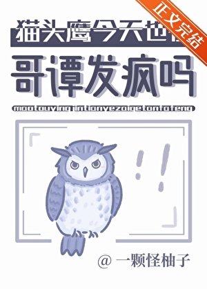 猫头鹰今天也在哥谭发疯吗