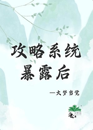 攻略成功后,系统暴露了