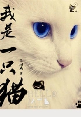 我是一隻貓