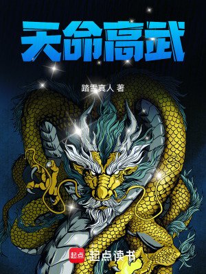 天命高武