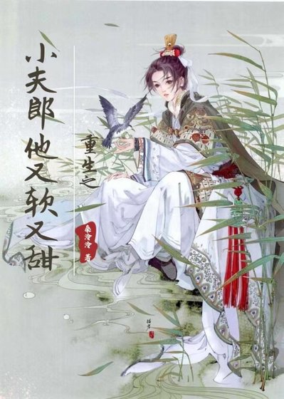 《重生之小夫郎他又軟又甜》