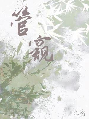 《管窺》