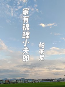家有錦鯉小夫郎