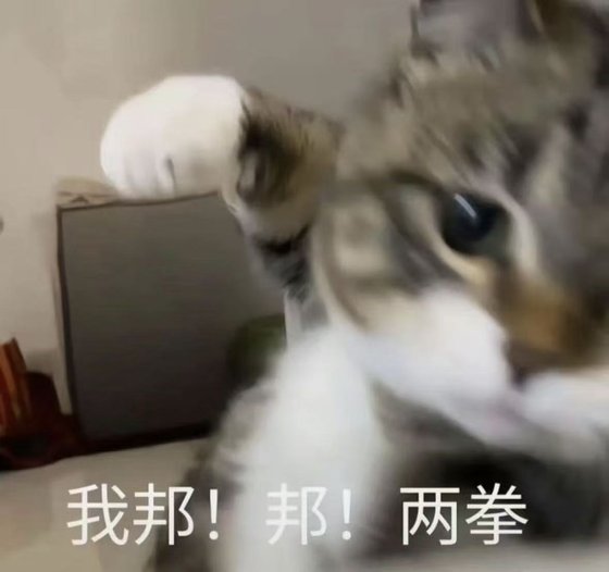 《【復聯+hp】冬日戰士像貓貓》