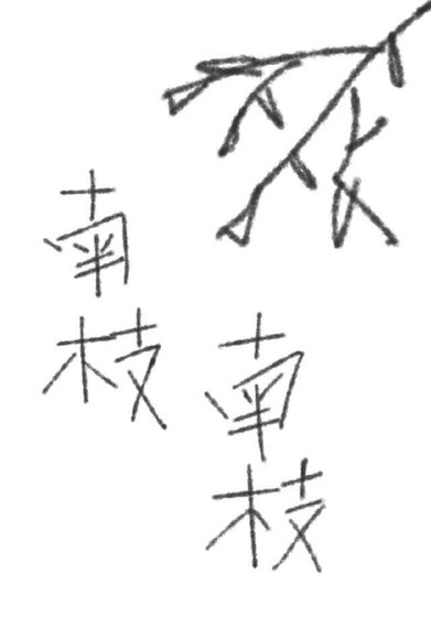 南枝,南枝