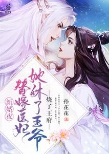 《新婚夜,替嫁医妃她休了王爷烧了王府》