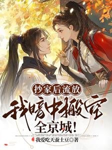 抄家後流放，我暗中搬空全京城！