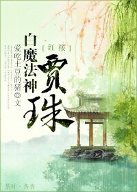 (BG/红楼同人)红楼之白魔法神贾珠