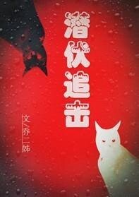 《潛伏追擊》