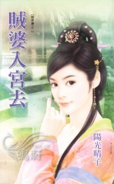 賊婆入宮去(賊保鏢之二)