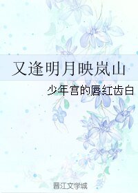 又逢明月映岚山
