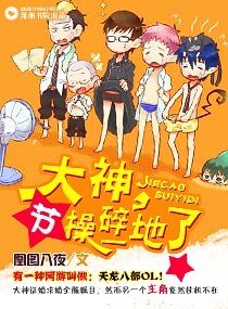 《大神,節操碎一地了》
