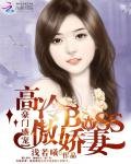 《豪门盛宠:高冷BOSS傲娇妻》