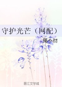 《守護光芒(網配)》